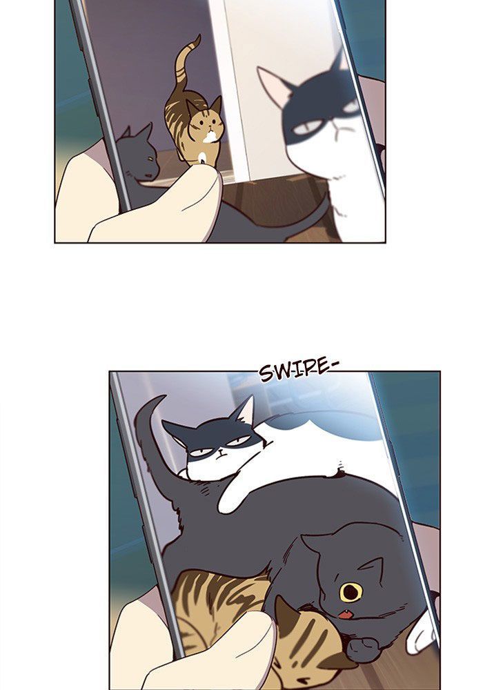 Hoá Thân Thành Mèo Chap 11 - Next Chap 12