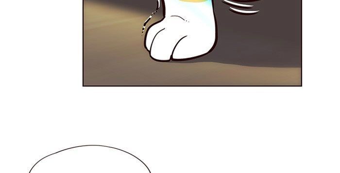 Hoá Thân Thành Mèo Chap 11 - Next Chap 12