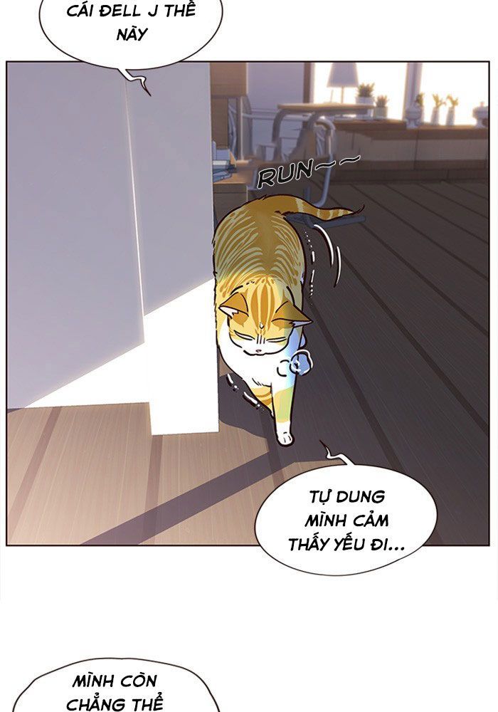 Hoá Thân Thành Mèo Chap 11 - Next Chap 12