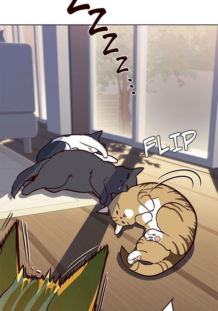 Hoá Thân Thành Mèo Chap 11 - Next Chap 12