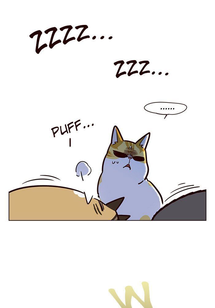 Hoá Thân Thành Mèo Chap 11 - Next Chap 12