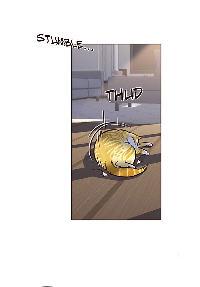 Hoá Thân Thành Mèo Chap 11 - Next Chap 12
