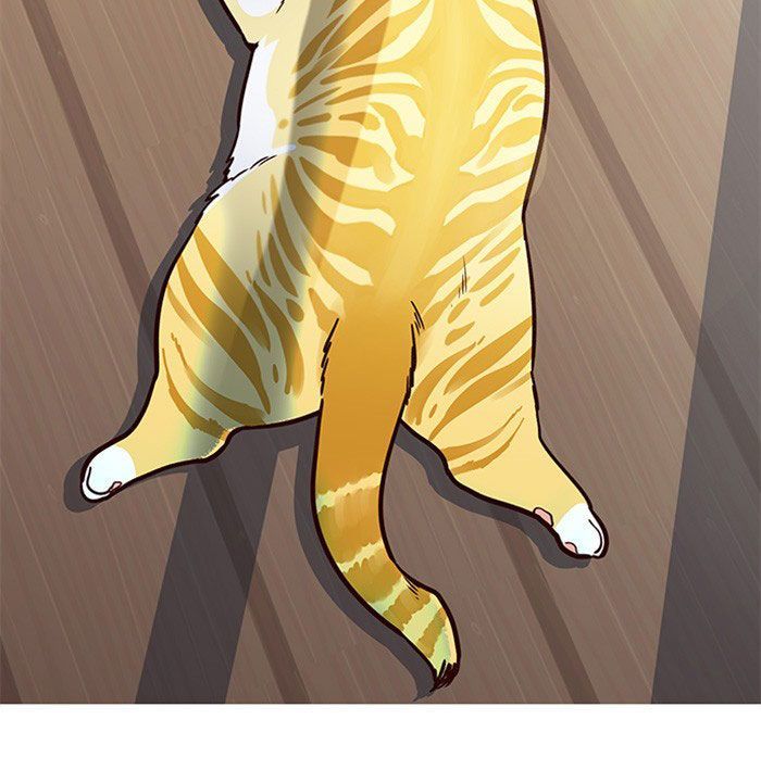 Hoá Thân Thành Mèo Chap 11 - Next Chap 12