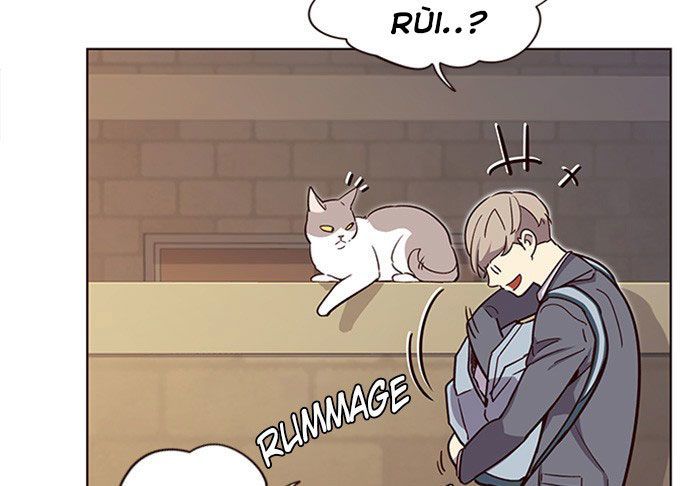 Hoá Thân Thành Mèo Chap 11 - Next Chap 12