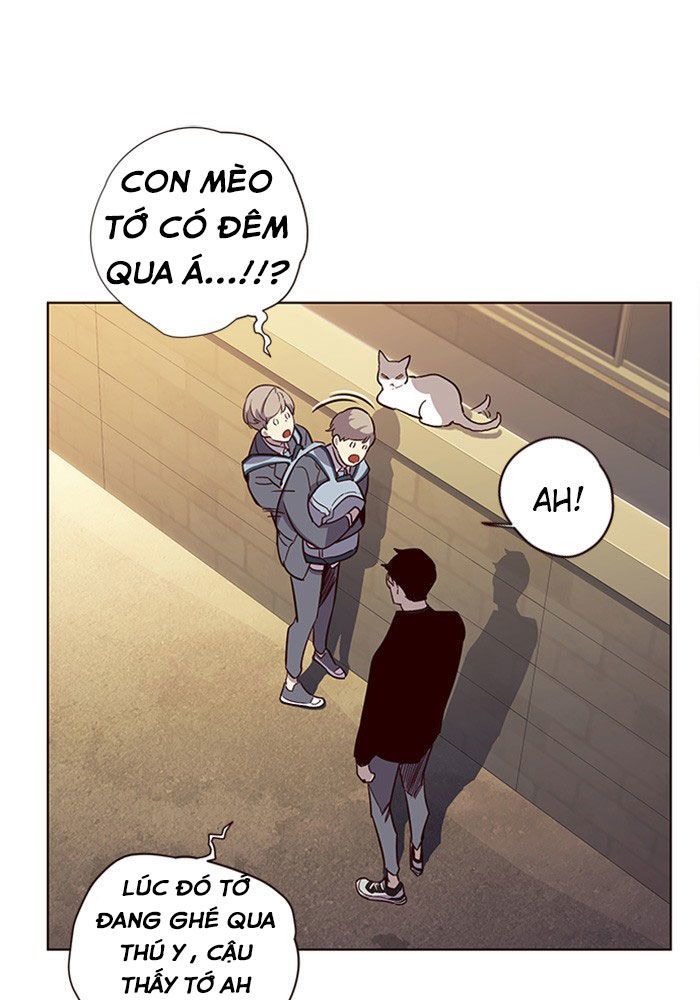 Hoá Thân Thành Mèo Chap 11 - Next Chap 12