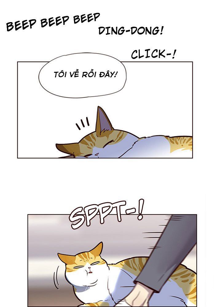 Hoá Thân Thành Mèo Chap 11 - Next Chap 12