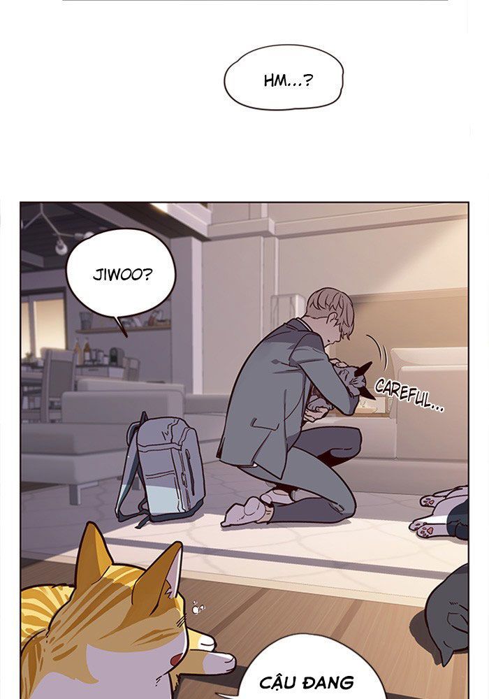 Hoá Thân Thành Mèo Chap 11 - Next Chap 12