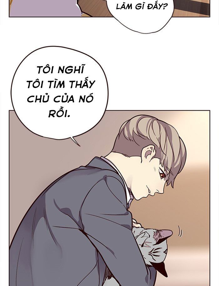 Hoá Thân Thành Mèo Chap 11 - Next Chap 12