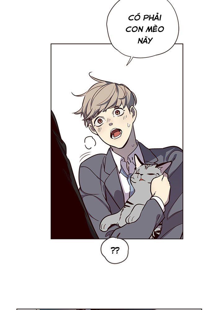 Hoá Thân Thành Mèo Chap 11 - Next Chap 12