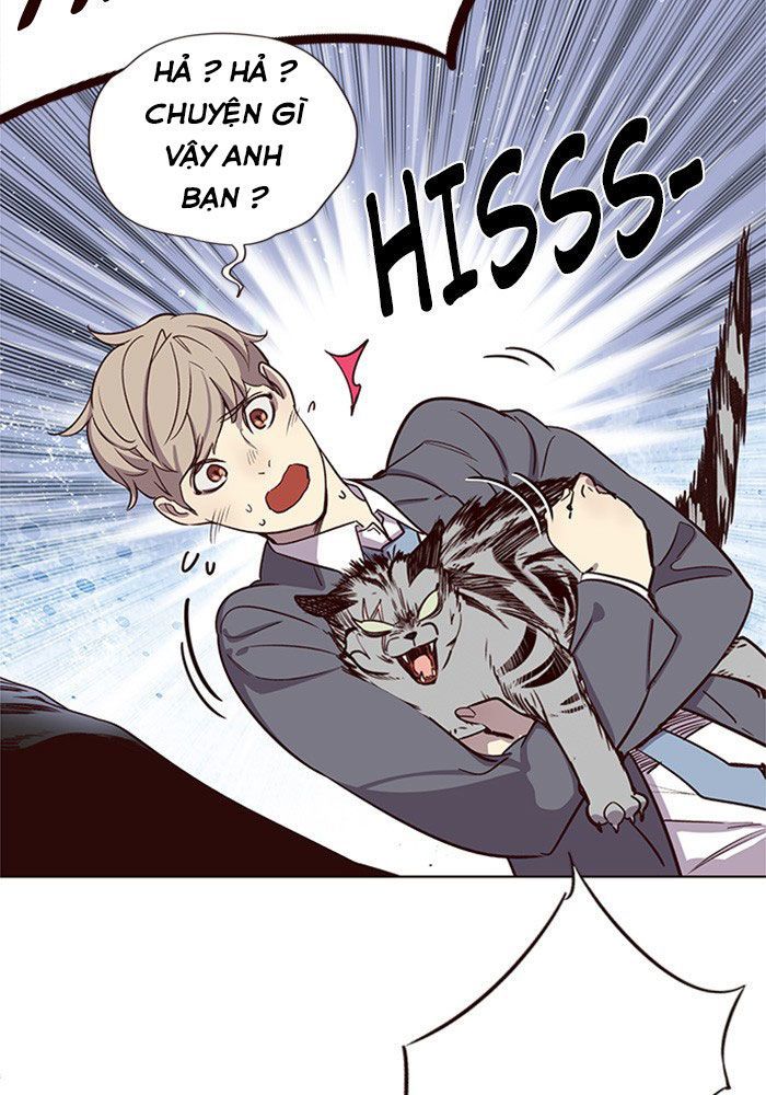 Hoá Thân Thành Mèo Chap 11 - Next Chap 12