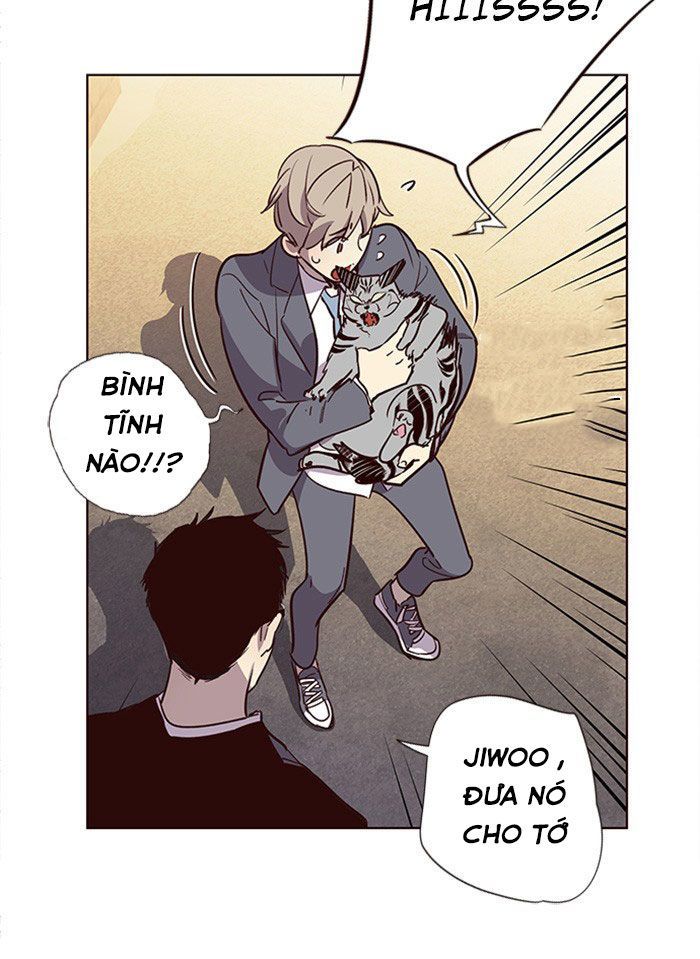 Hoá Thân Thành Mèo Chap 11 - Next Chap 12