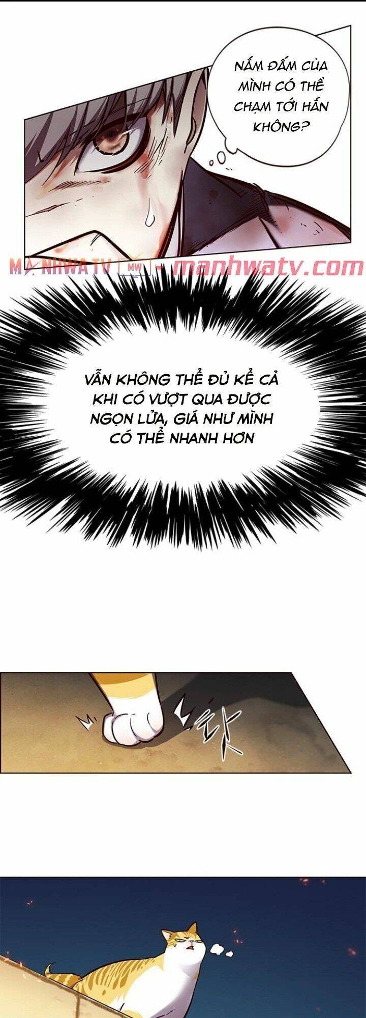 Hoá Thân Thành Mèo Chap 110 - Next Chap 111