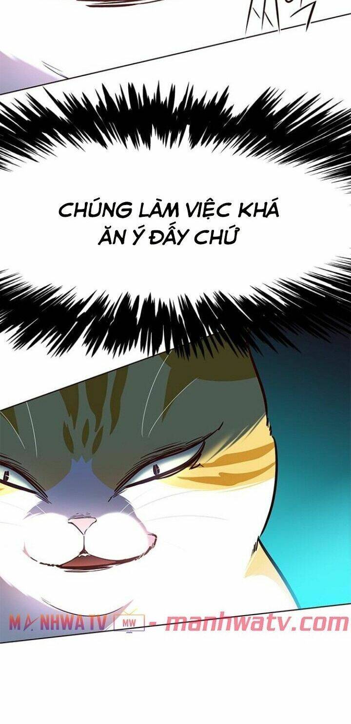 Hoá Thân Thành Mèo Chap 110 - Next Chap 111