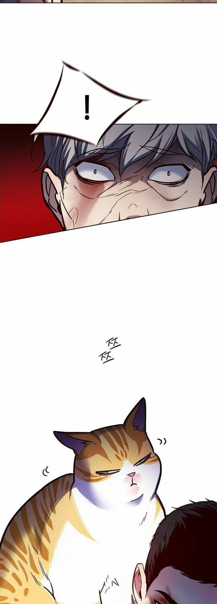 Hoá Thân Thành Mèo Chap 112 - Next Chap 113