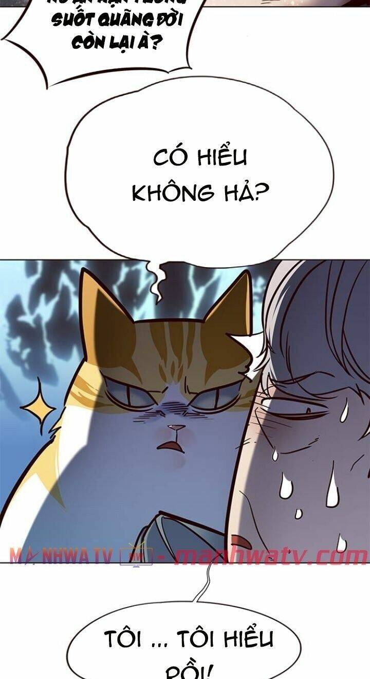 Hoá Thân Thành Mèo Chap 112 - Next Chap 113