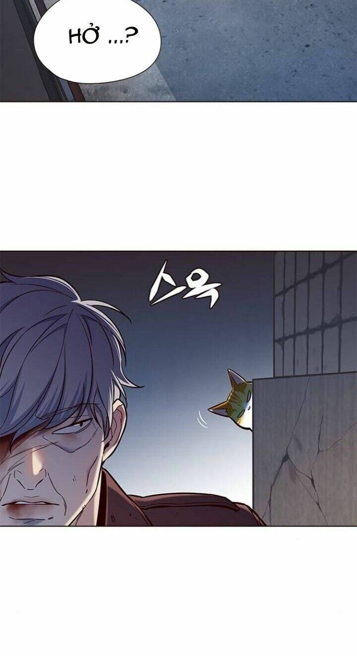 Hoá Thân Thành Mèo Chap 112 - Next Chap 113