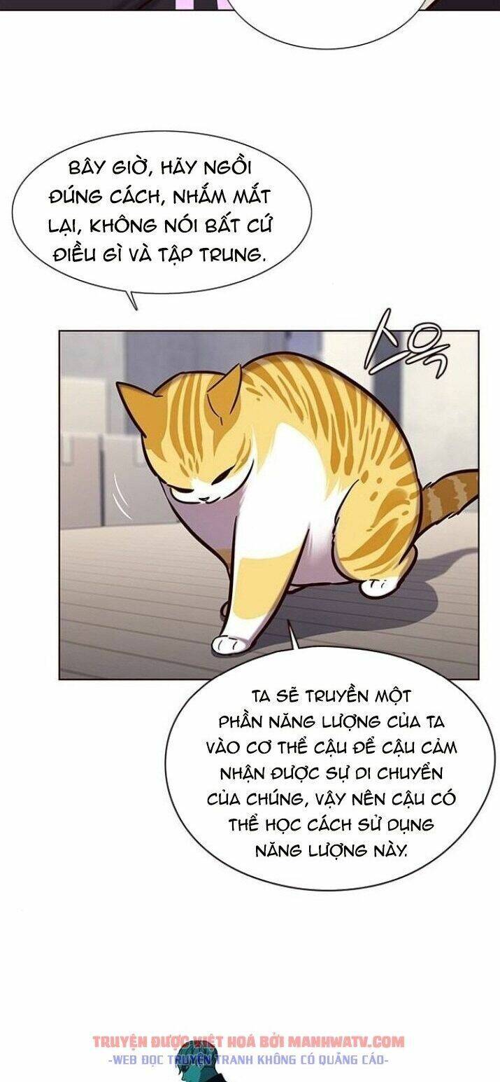 Hoá Thân Thành Mèo Chap 116 - Next Chap 117
