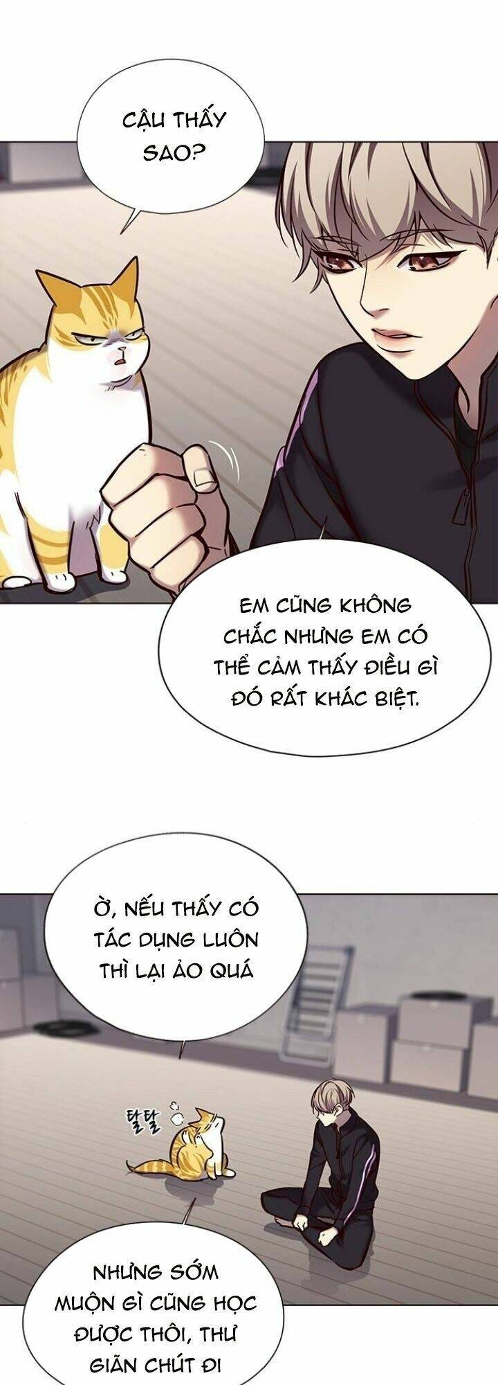Hoá Thân Thành Mèo Chap 116 - Next Chap 117