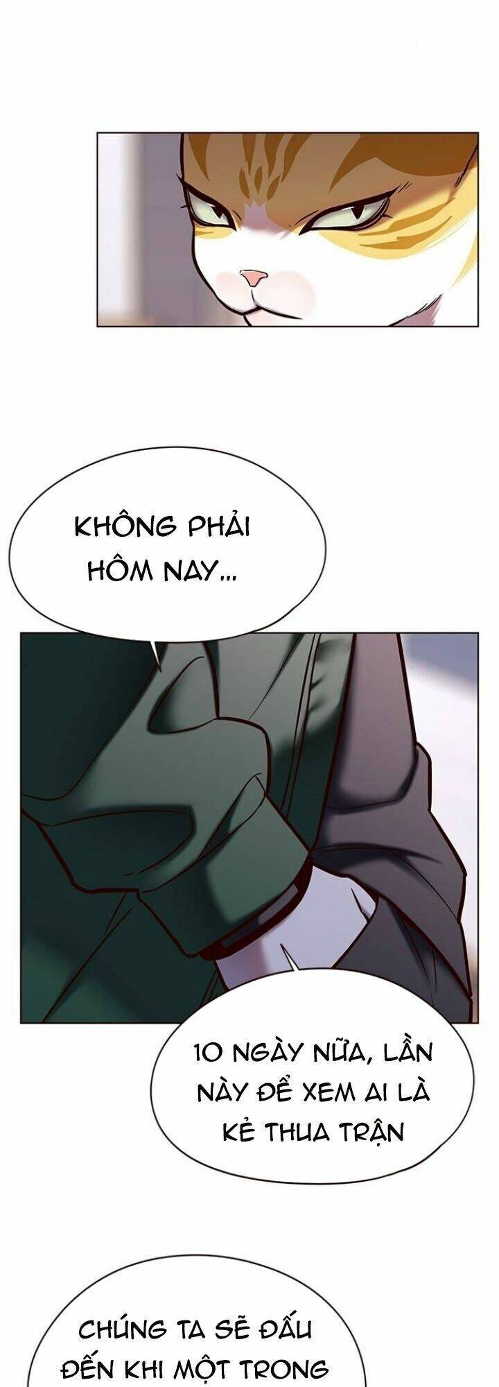 Hoá Thân Thành Mèo Chap 117 - Next Chap 118