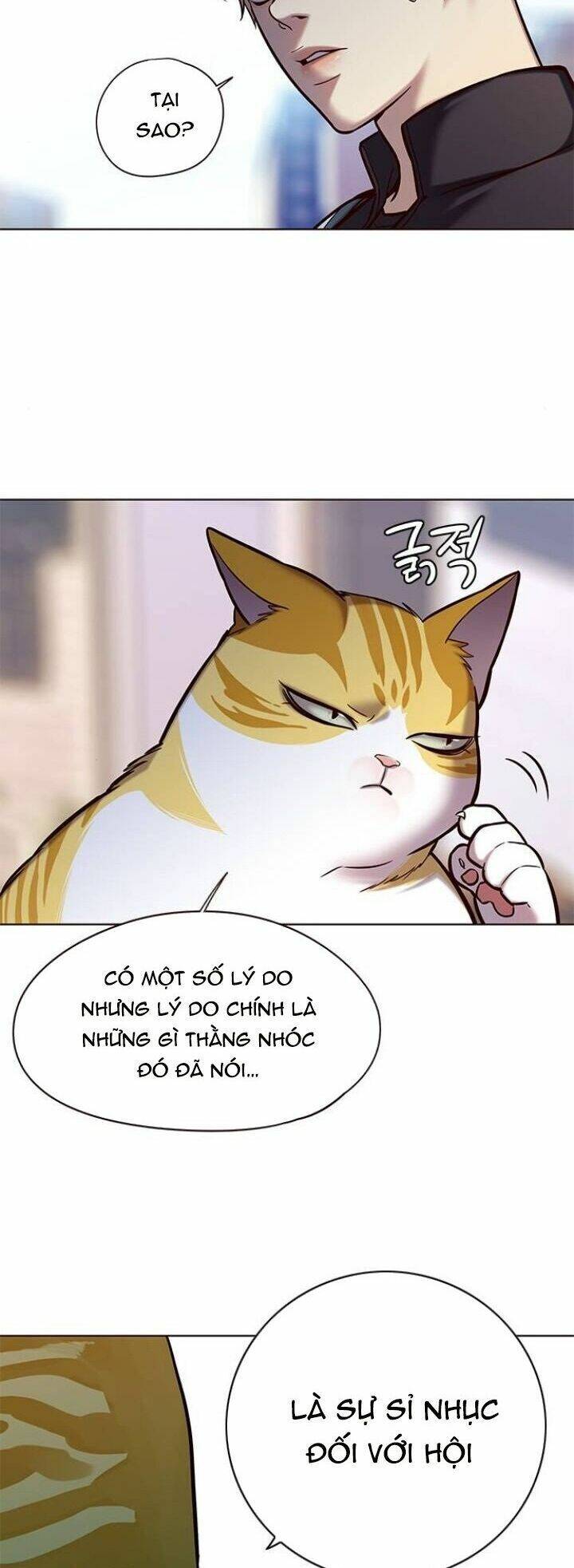 Hoá Thân Thành Mèo Chap 117 - Next Chap 118