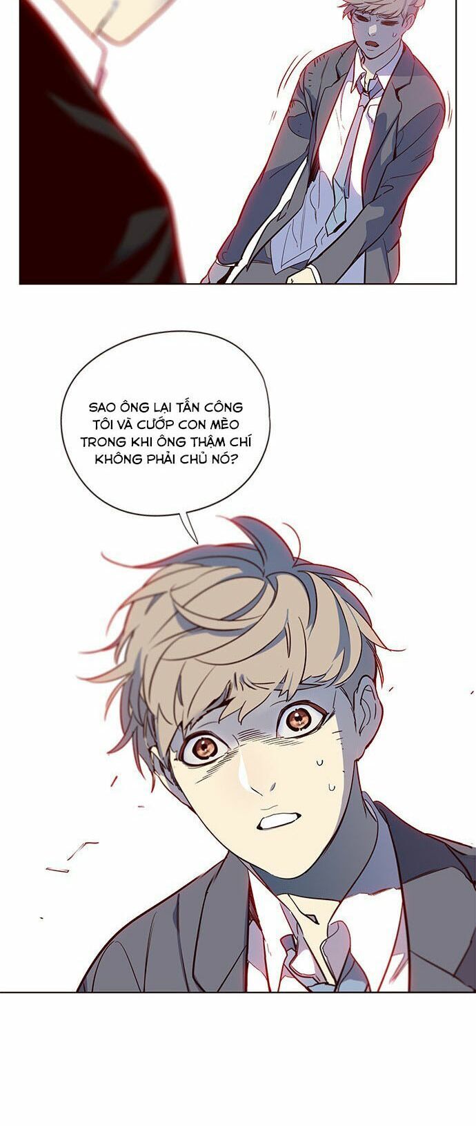 Hoá Thân Thành Mèo Chap 12 - Next Chap 13