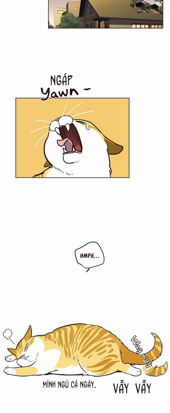 Hoá Thân Thành Mèo Chap 12 - Next Chap 13