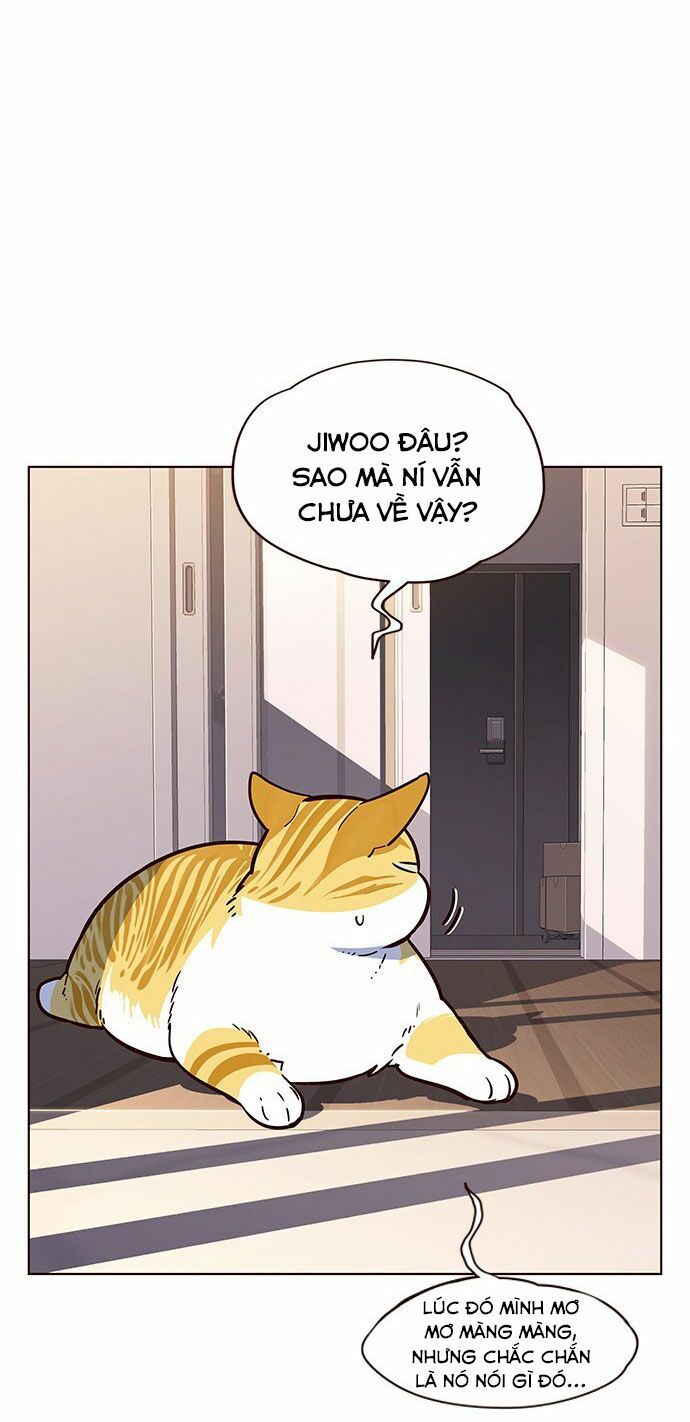 Hoá Thân Thành Mèo Chap 12 - Next Chap 13