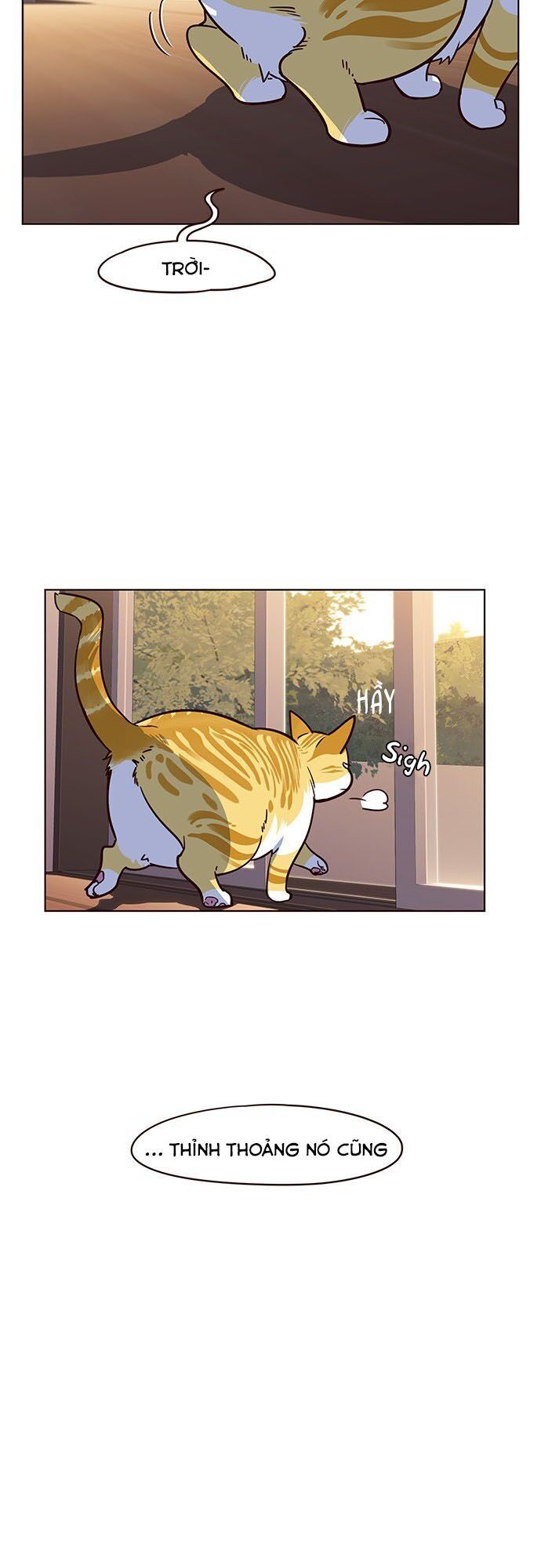 Hoá Thân Thành Mèo Chap 12 - Next Chap 13