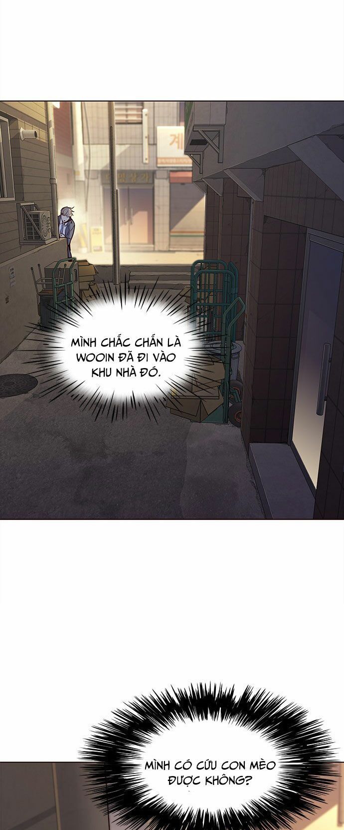 Hoá Thân Thành Mèo Chap 12 - Next Chap 13