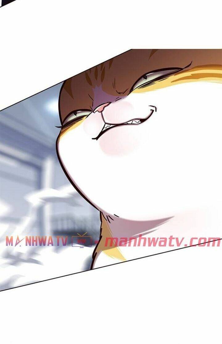 Hoá Thân Thành Mèo Chap 120 - Next Chap 121