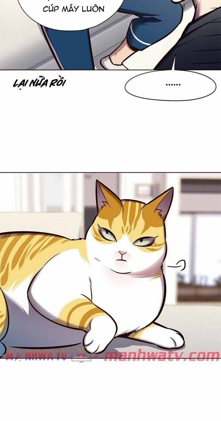 Hoá Thân Thành Mèo Chap 124 - Next Chap 125
