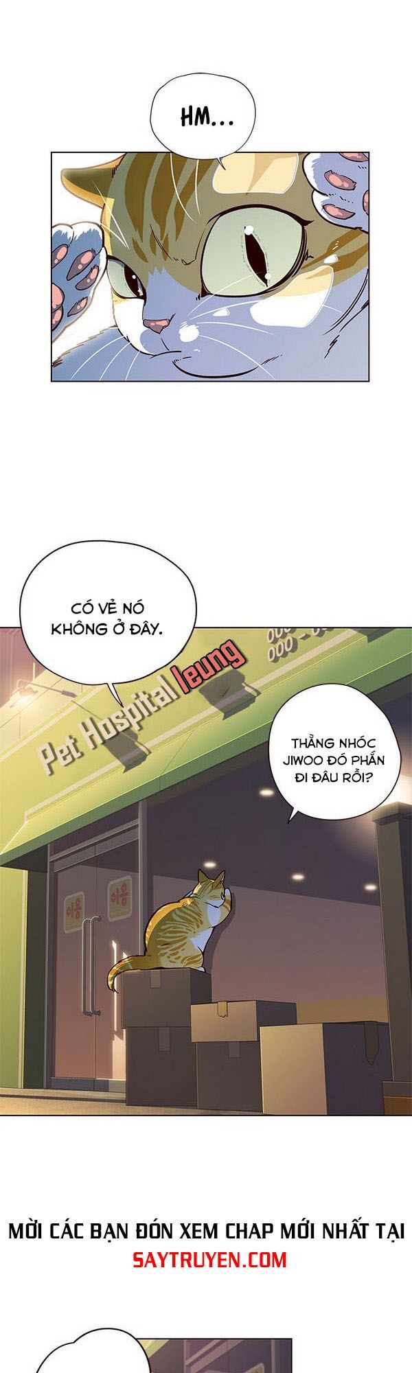 Hoá Thân Thành Mèo Chap 13 - Next Chap 14