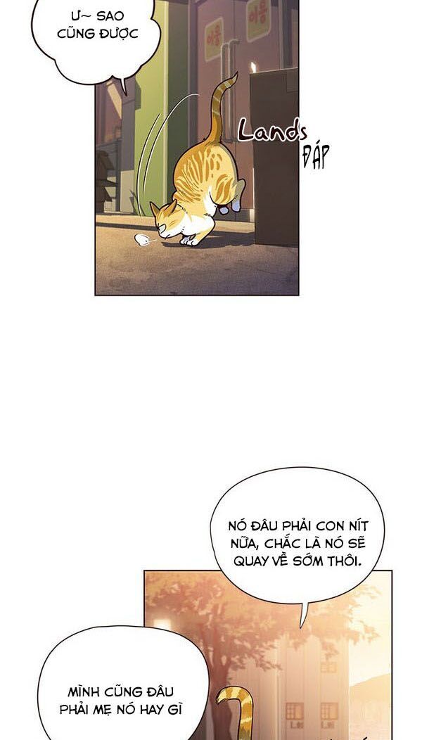 Hoá Thân Thành Mèo Chap 13 - Next Chap 14