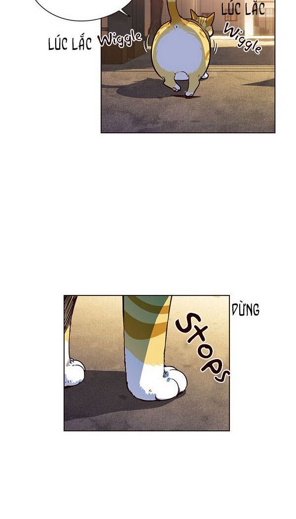 Hoá Thân Thành Mèo Chap 13 - Next Chap 14