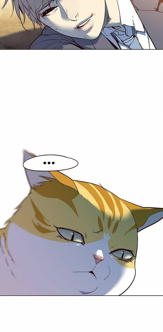 Hoá Thân Thành Mèo Chap 14 - Next Chap 15