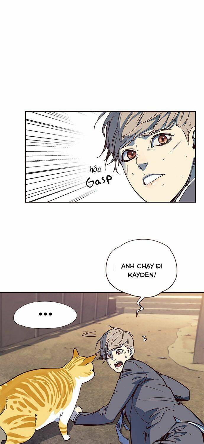 Hoá Thân Thành Mèo Chap 14 - Next Chap 15