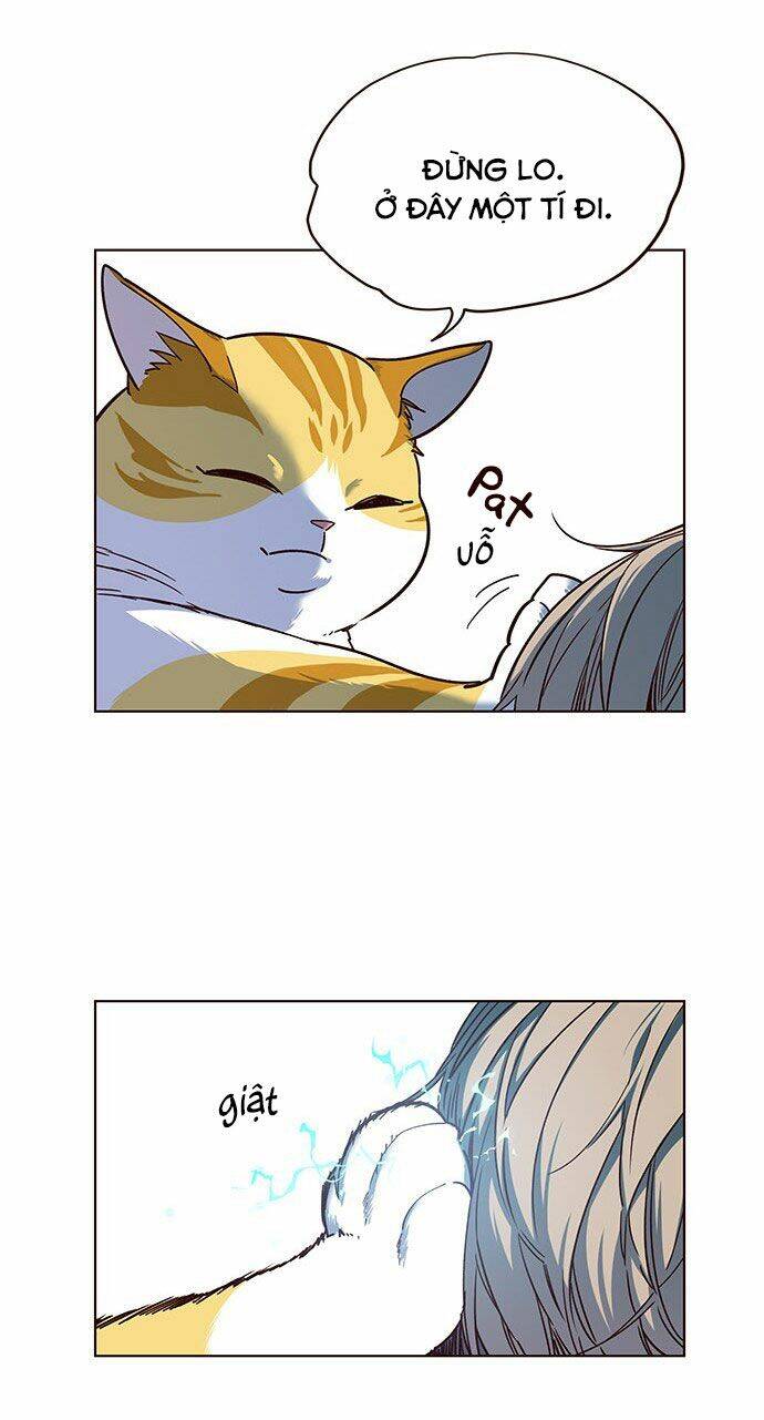 Hoá Thân Thành Mèo Chap 14 - Next Chap 15