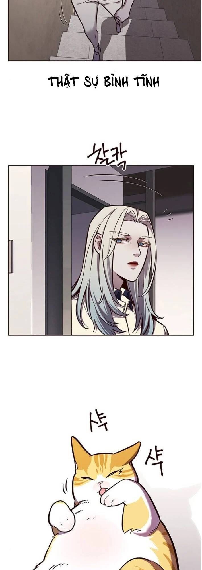 Hoá Thân Thành Mèo Chap 141 - Next Chap 142
