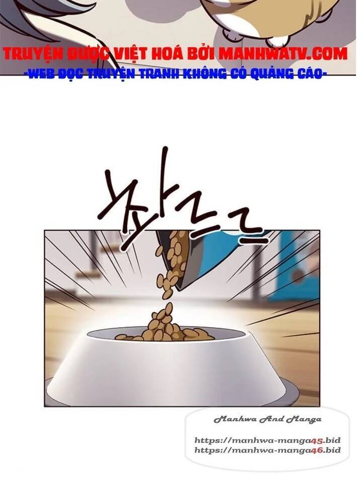 Hoá Thân Thành Mèo Chap 141 - Next Chap 142