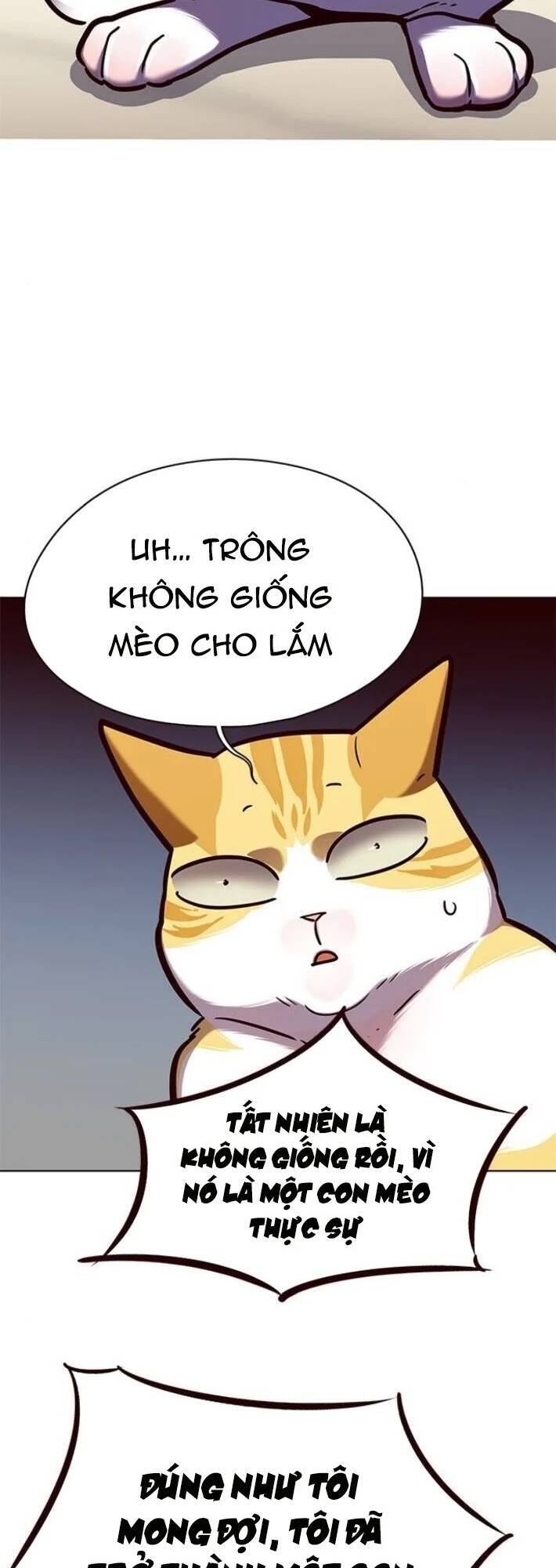 Hoá Thân Thành Mèo Chap 141 - Next Chap 142