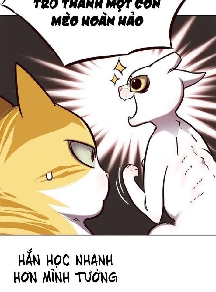 Hoá Thân Thành Mèo Chap 141 - Next Chap 142