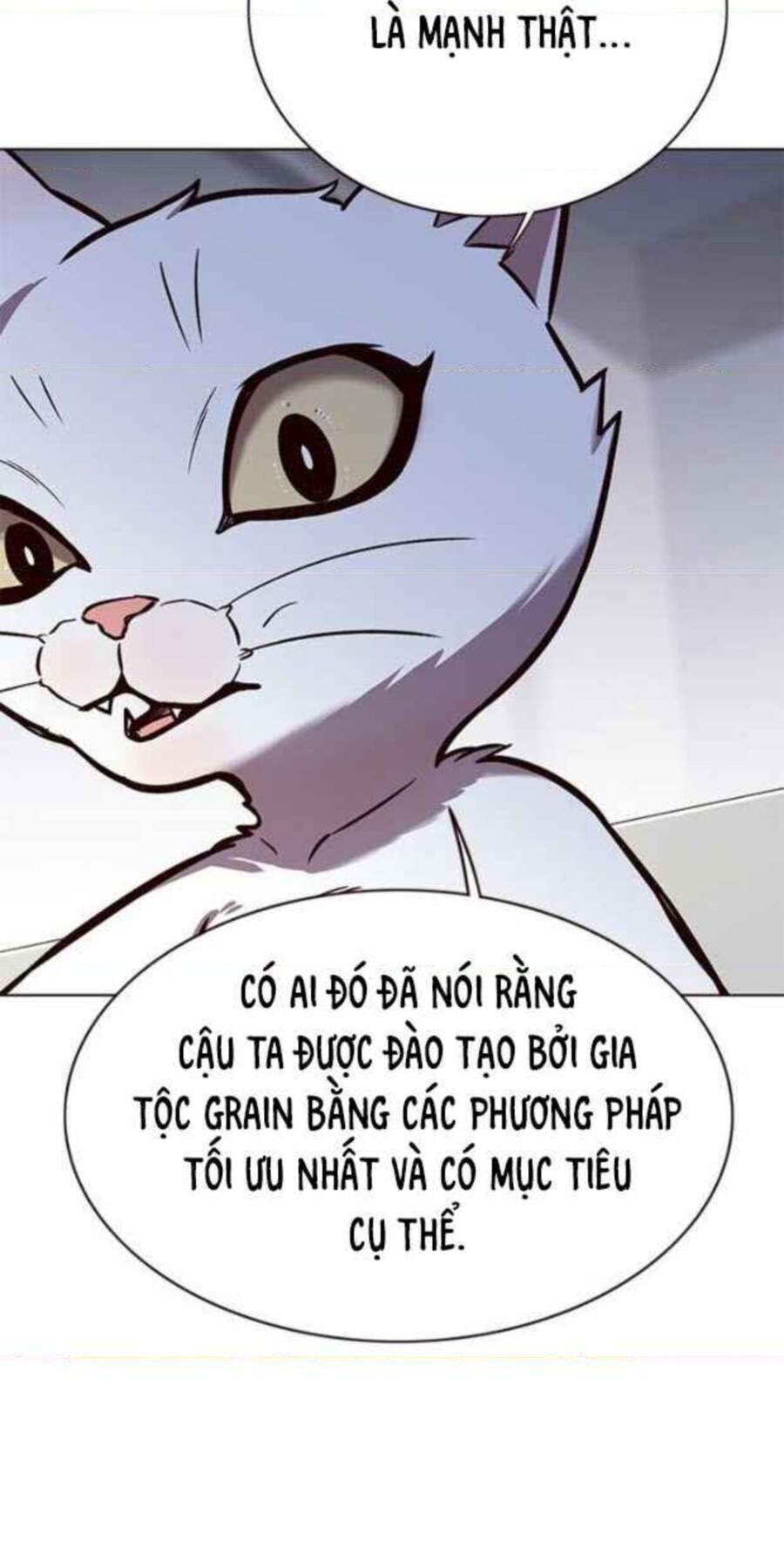 Hoá Thân Thành Mèo Chap 154 - Next Chap 155