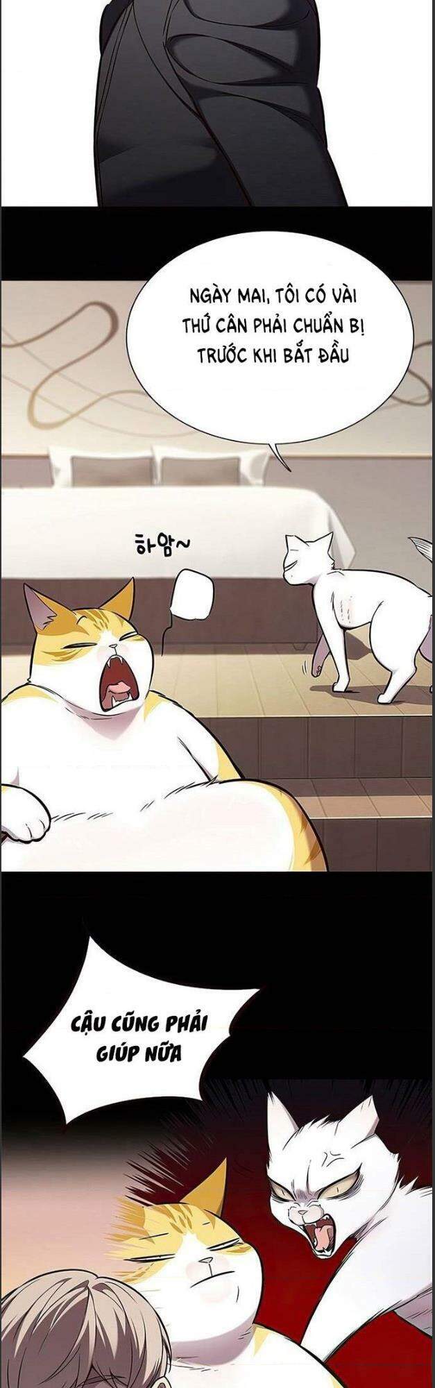 Hoá Thân Thành Mèo Chap 156 - Next Chap 157