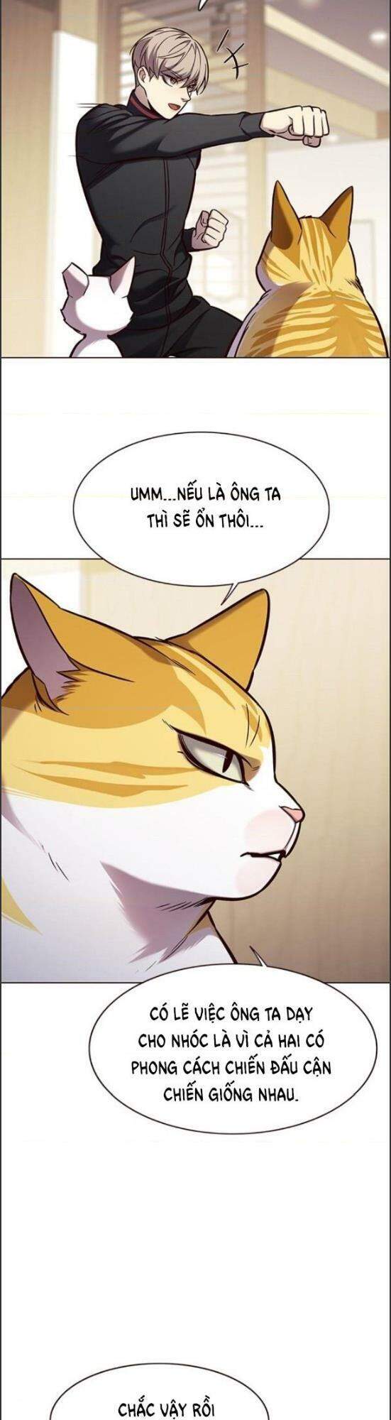 Hoá Thân Thành Mèo Chap 157 - Next Chap 158