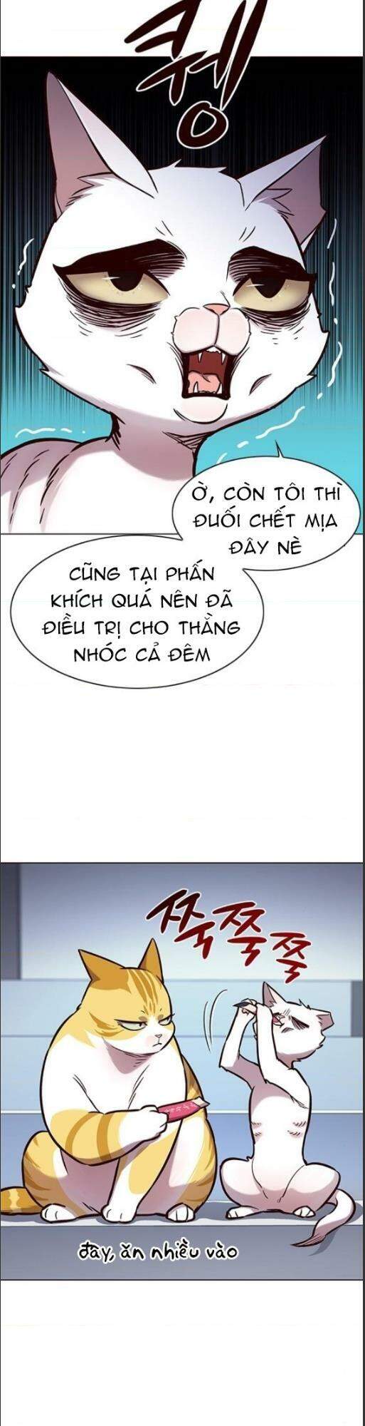 Hoá Thân Thành Mèo Chap 159 - Next Chap 160