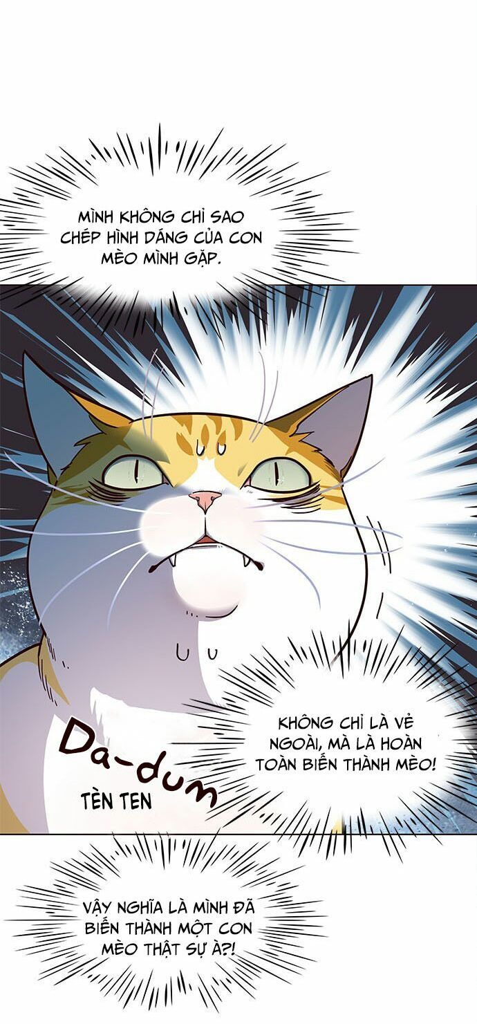 Hoá Thân Thành Mèo Chap 16 - Next Chap 17