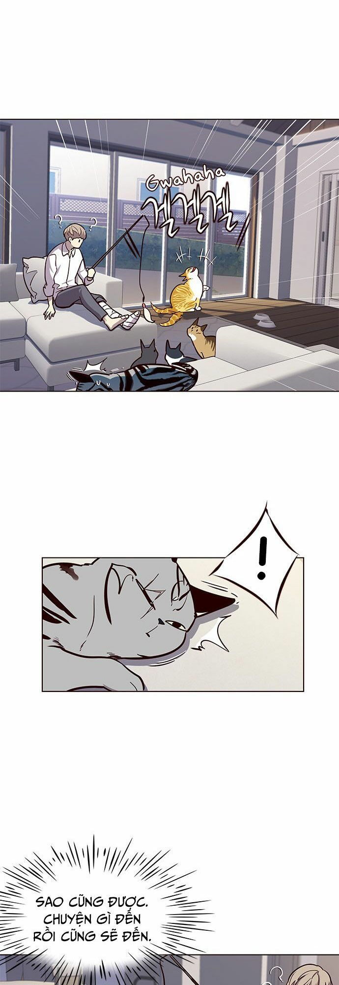 Hoá Thân Thành Mèo Chap 16 - Next Chap 17