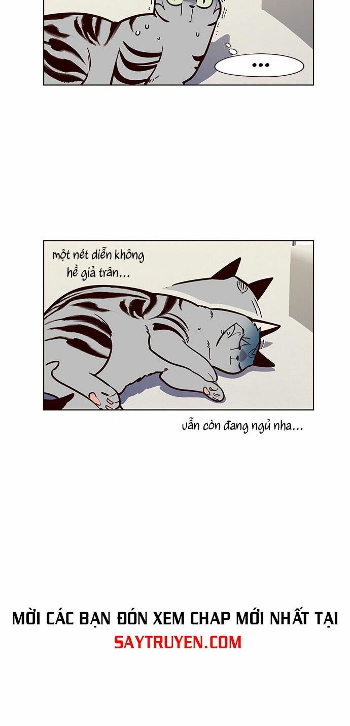 Hoá Thân Thành Mèo Chap 16 - Next Chap 17