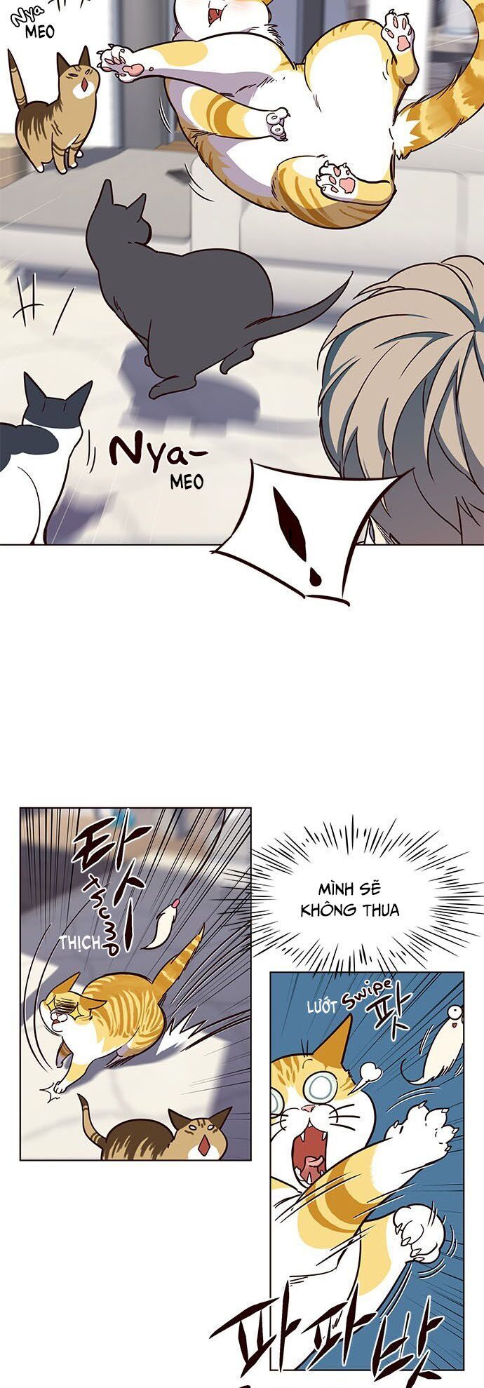 Hoá Thân Thành Mèo Chap 16 - Next Chap 17