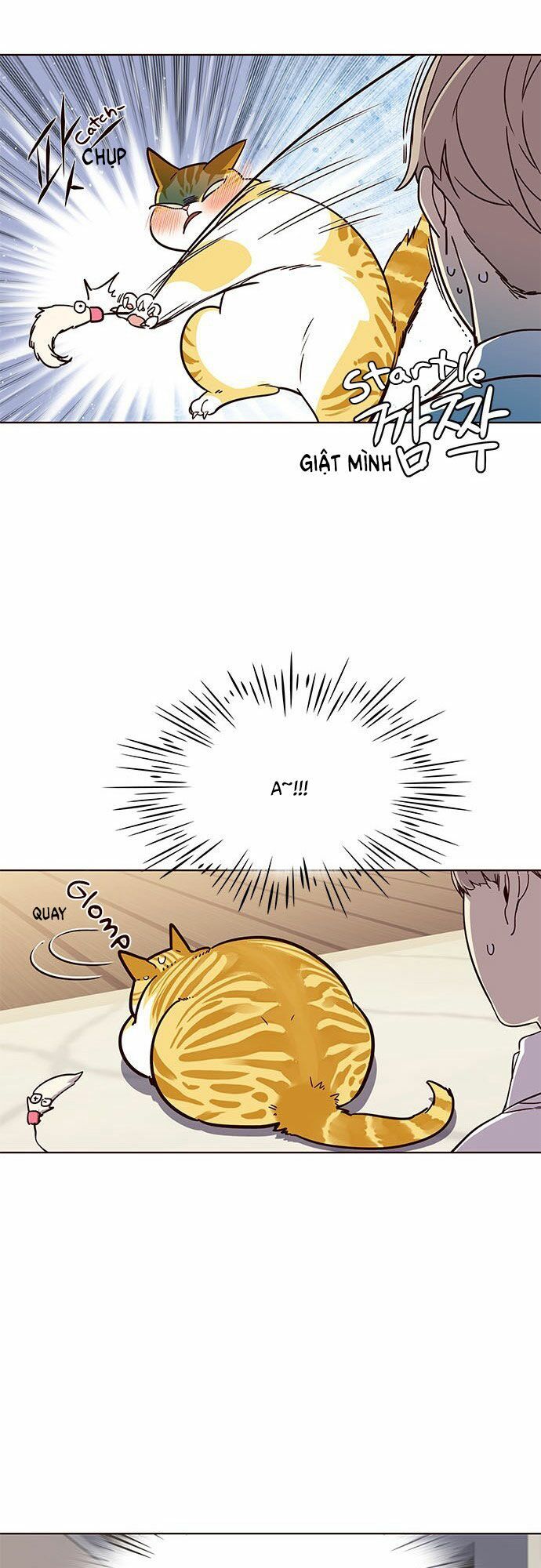 Hoá Thân Thành Mèo Chap 16 - Next Chap 17
